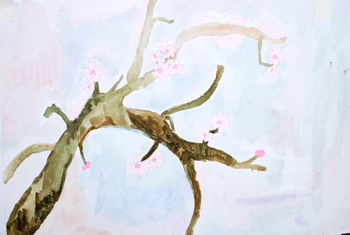 sakura